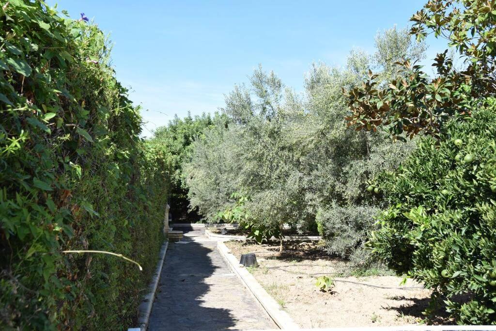 Casa Rural " La Bruja " Segorbe Exteriör bild